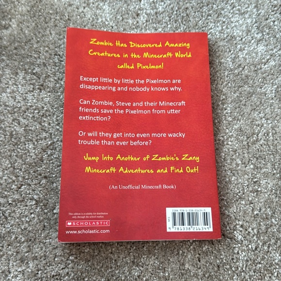 Diary of a Minecraft zombie - Picture 2 of 2